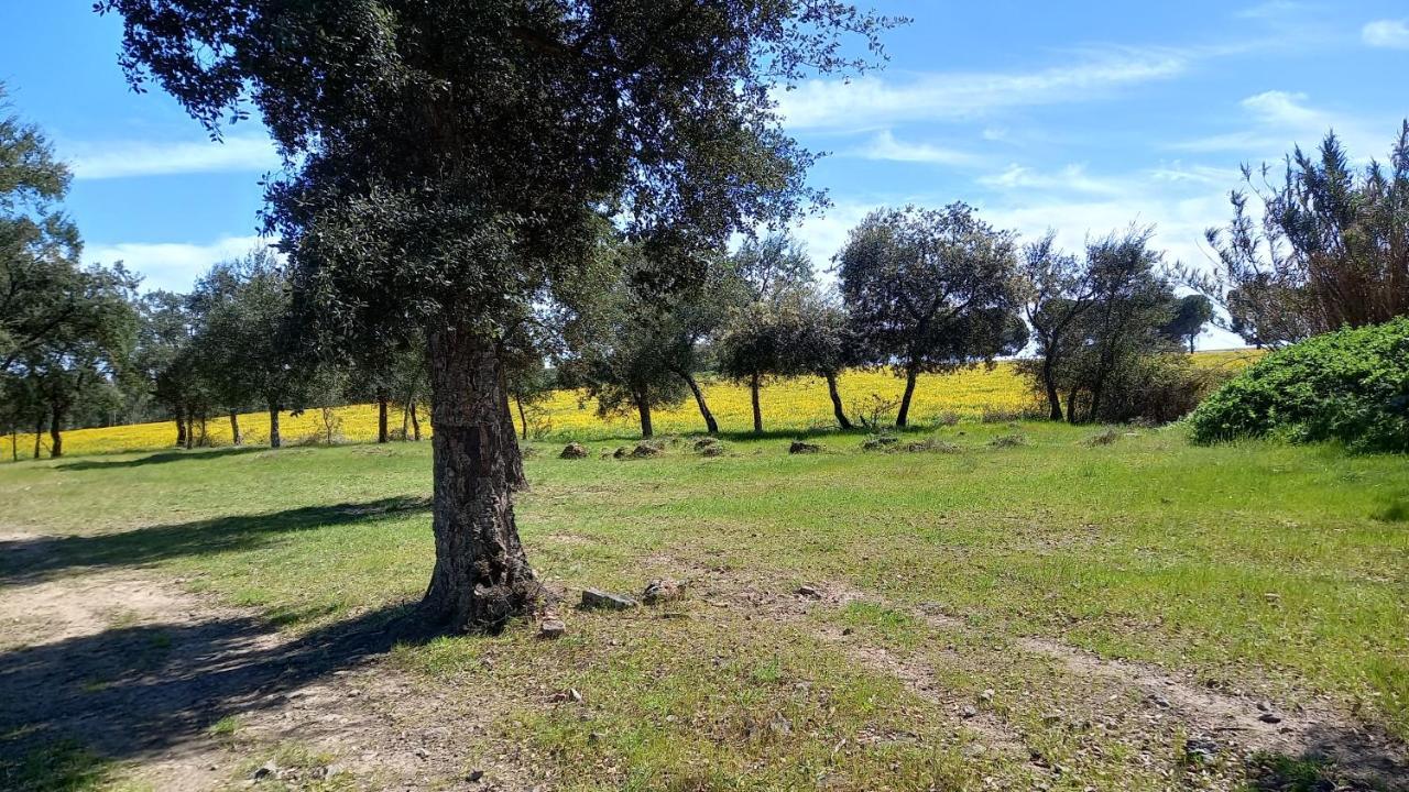 Monte Da Serralheira Agro Turismo Évora Exteriör bild