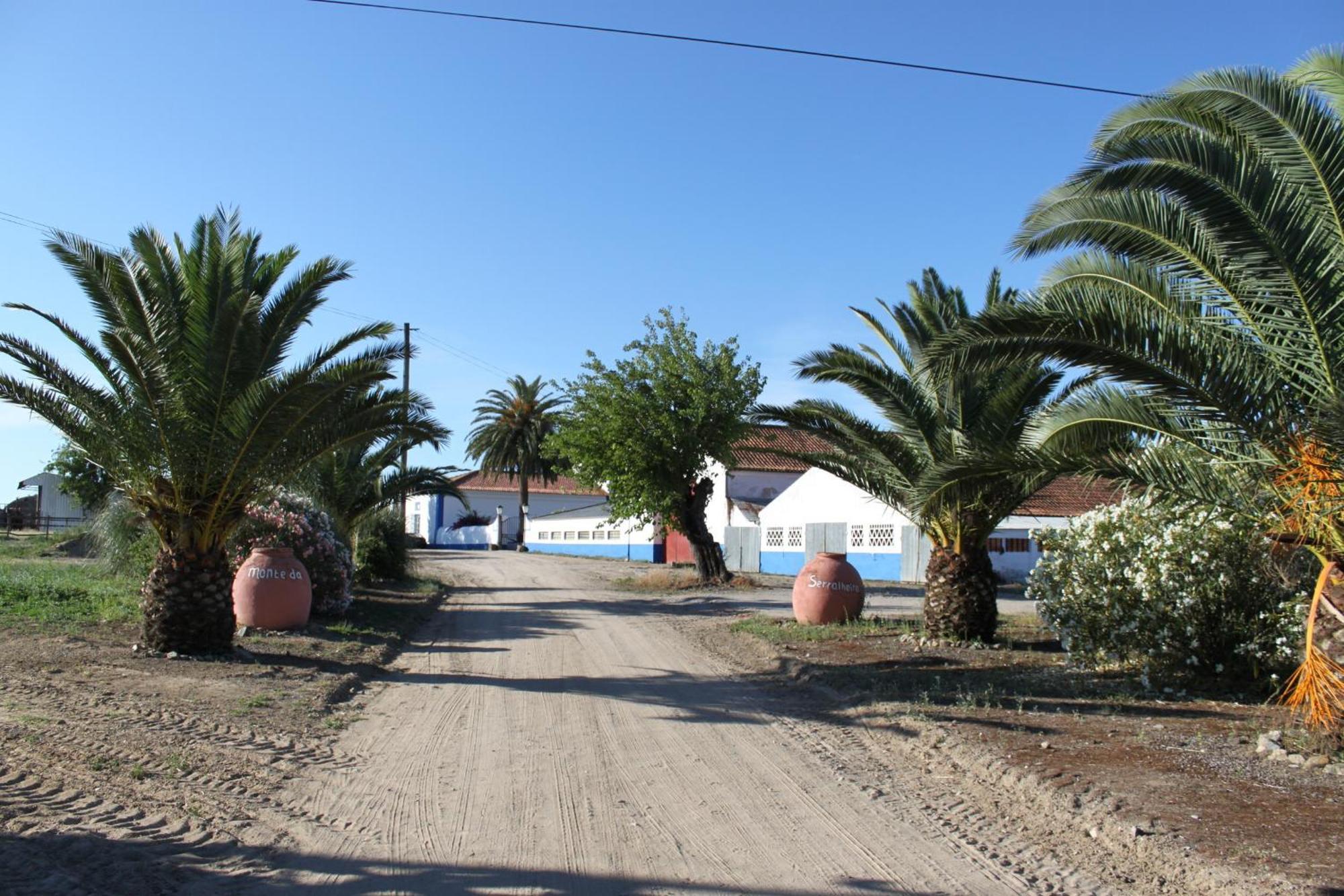 Monte Da Serralheira Agro Turismo Évora Exteriör bild