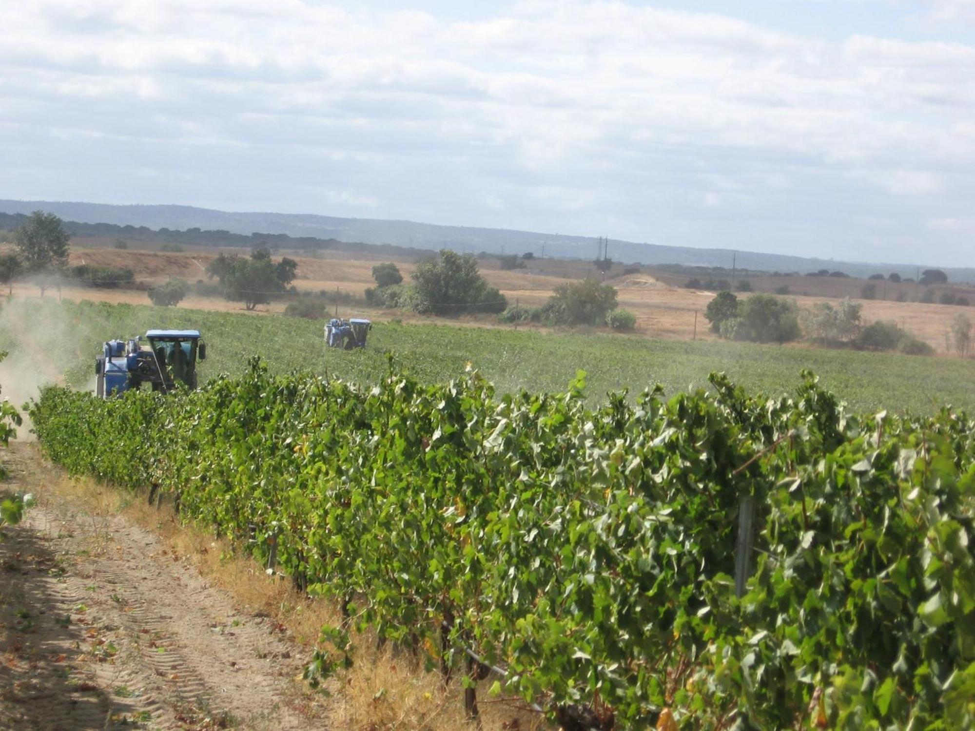 Monte Da Serralheira Agro Turismo Évora Exteriör bild